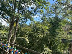 -海南槟榔谷黎苗文化旅游区