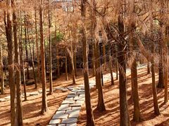 -宝界山林公园