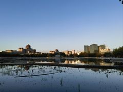 -莲花池公园