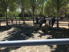 -长白岛森林公园