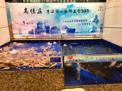 水产区-高佳庄·舟山海鲜(海景旗舰店)
