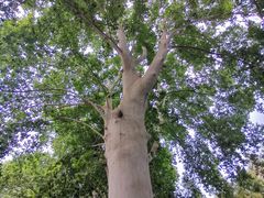 -河南省黄河迎宾馆