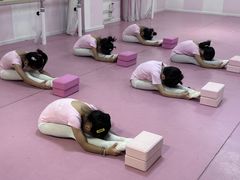 -桃子公主舞蹈培训(万柳校区)