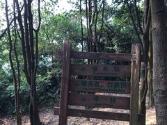 -火炉山森林公园