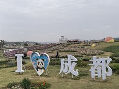 -空港花田景区
