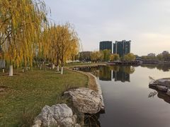 -西海子公园