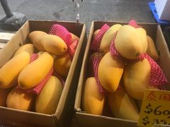 -油麻地果栏