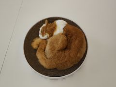 -厦门高崎国际机场-T3航站楼