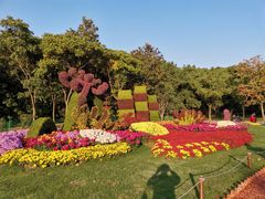 -上海共青森林公园