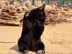 -鄂尔多斯野生动物园