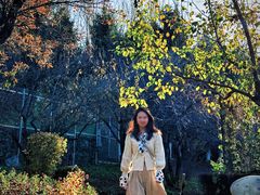 -王府井奥莱棋盘山小镇