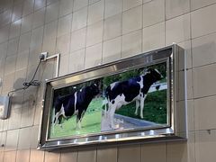 -义顺牛奶公司(新马路老店)