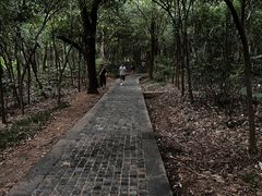 -紫金山山顶公园