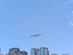 -星海广场