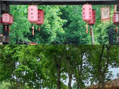 -合肥滨湖国家森林公园