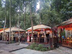 -二荆条·蜀鲜汇城市森林火锅