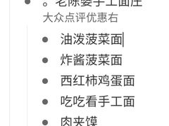 -老陈婆手工面庄