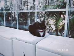 -小时光咖啡馆(北锣鼓巷店)