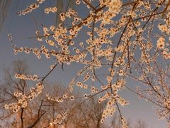 -安定门(地铁站)