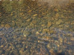 -九曲溪竹筏码头