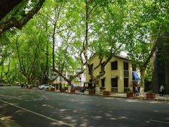 -也枫·小黄楼(南山路旗舰店)