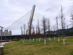 -龙江公园