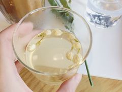 茉荔加（热茶）-ZING COFFEE 镜咖啡