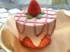 -野草莓自由市场