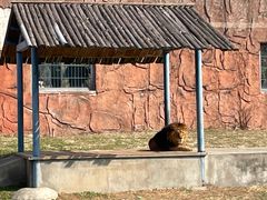 -无锡动物园·太湖欢乐园