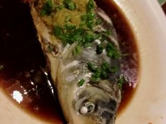 鱼头诱惑-绿茶餐厅(华联万柳店)