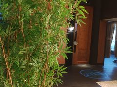 -新紫霞养生·影院足道·SPA(金山区店)