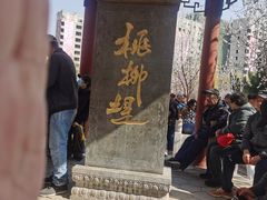 -桃花堤公园