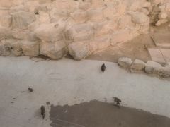 -太原动物园