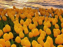 -西江红·株洲本地菜(滨江南路店)