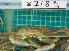 -震海贝烤贝·民俗特色店(延吉总店)