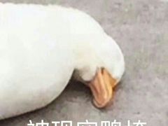 -景芳周大姐(国大城市广场店)