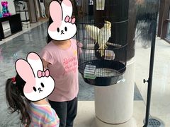 -上海崇明金茂凯悦酒店