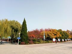 -八大关景区