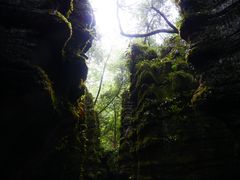 -梭布垭石林景区