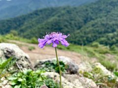 -灵山