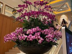 -金海湾自助餐厅(金陵饭店)