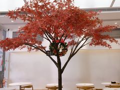 -艾薯夫妇Aysh(福田星河COCOPark店)