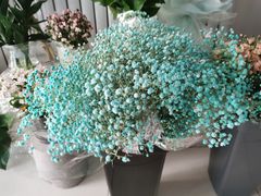 -哈尔滨师范大学(松北校区)