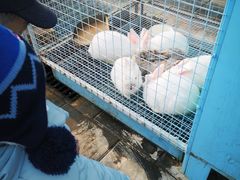 -有喜胶东小馆(太申祥和店)