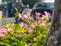 -长发西饼(道前店)