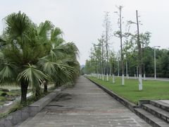-四川大学(江安校区)