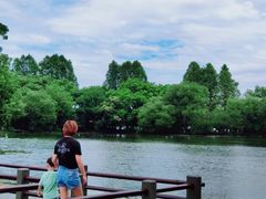 -西湖游船