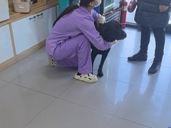 -瑞派宠物医院·24h·骨外科·皮肤科·全科宠物医疗转诊中心(沈阳浑南院)