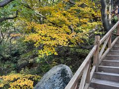 -大岭沟猕猴桃谷风景区