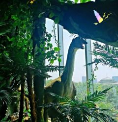 -恐龙探索乐园(磁器口店)